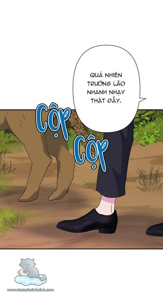 tôi đang nuôi dưỡng một con quái thú chapter 70 36