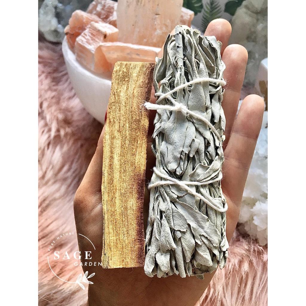 SET KHỞI ĐẦU _SAGE GARDEN