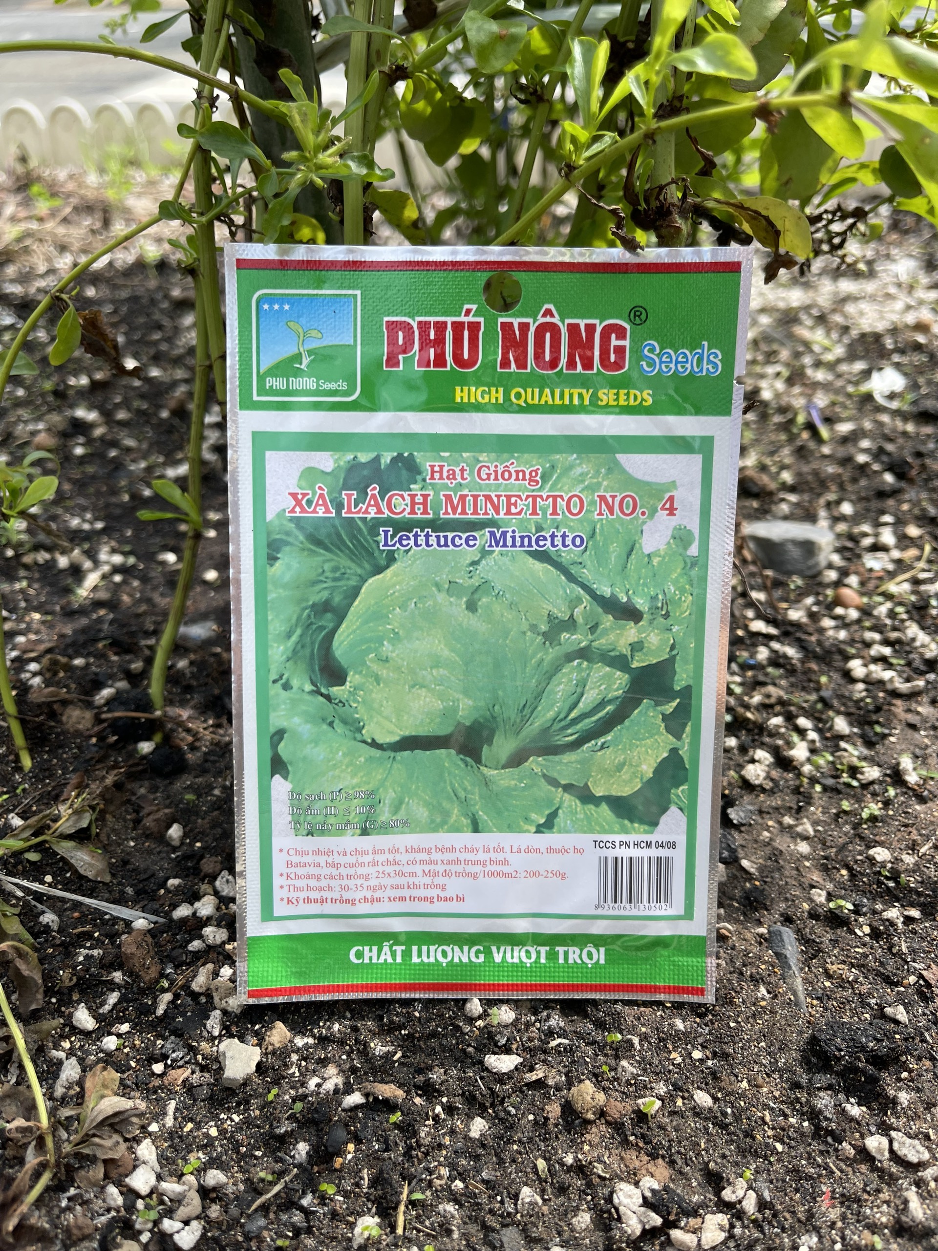 Hạt Giống Xà Lách Minetto Phú Nông