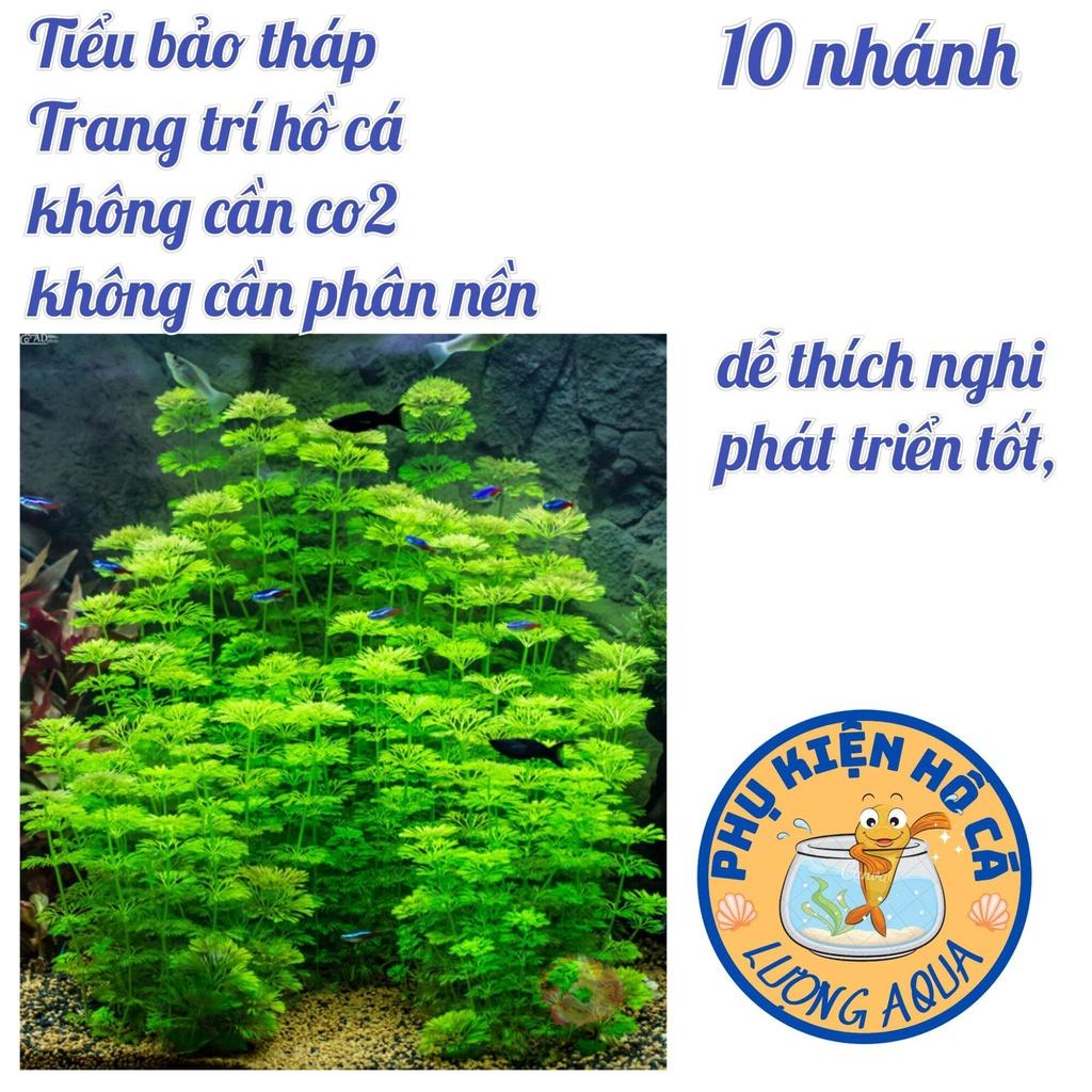 10 nhánh cây thủy sinh Tiểu bảo tháp, phụ kiện trang trí hồ cá cảnh thủy sinh hòn non bộ