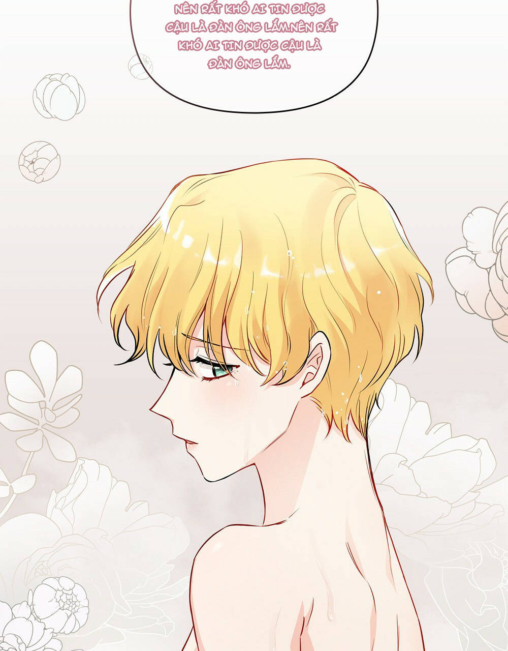 đi tìm nàng camellia chapter 20.1 22