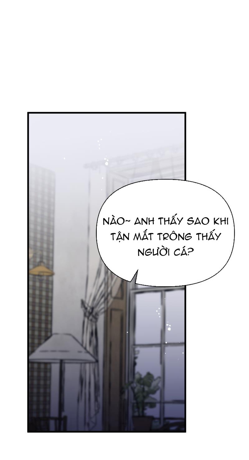 tiên cá trên bờ chapter 3 22
