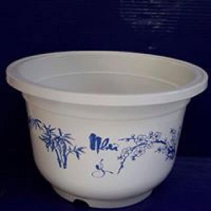 5 chậu trồng cây - Chậu trồng hoa, trồng rau Cát Tường size 28 x19 cm