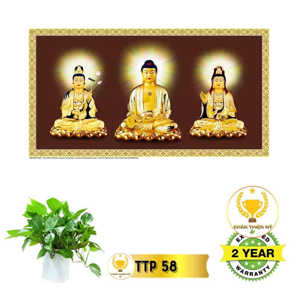 Tranh điện Tam Thế Phật_TTP6