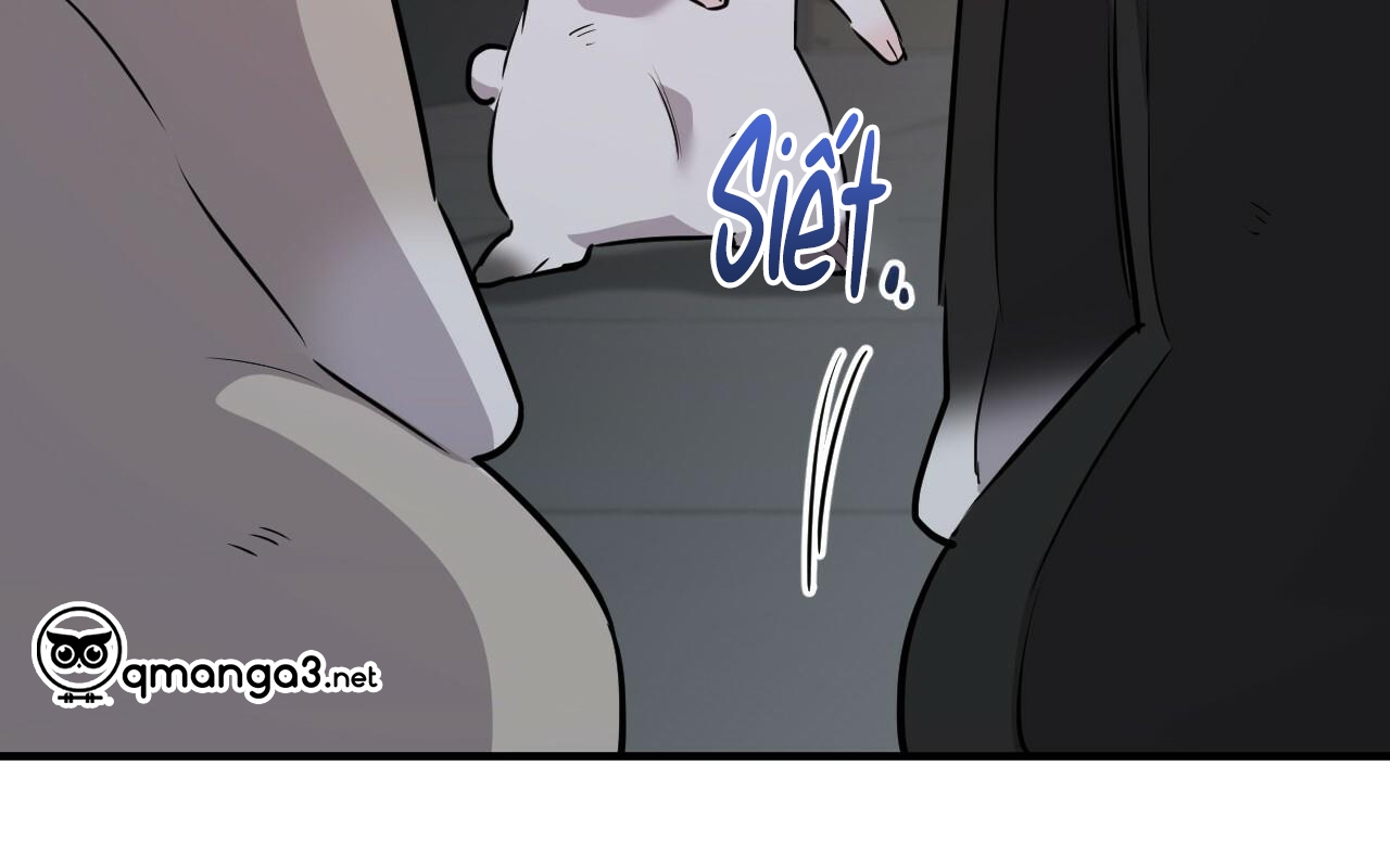 đàn thỏ của habibi chapter 46 273