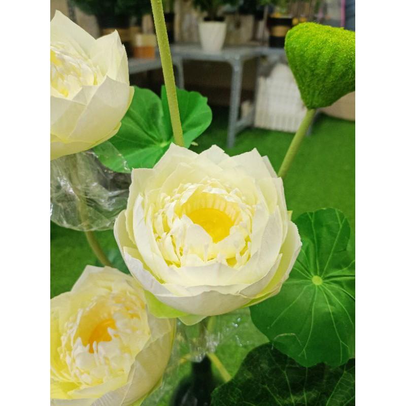 Cành sen giả,sen thái cánh kép cao 77cm,lụa cao cấp, lá in 3D-hoaluaminhhoa