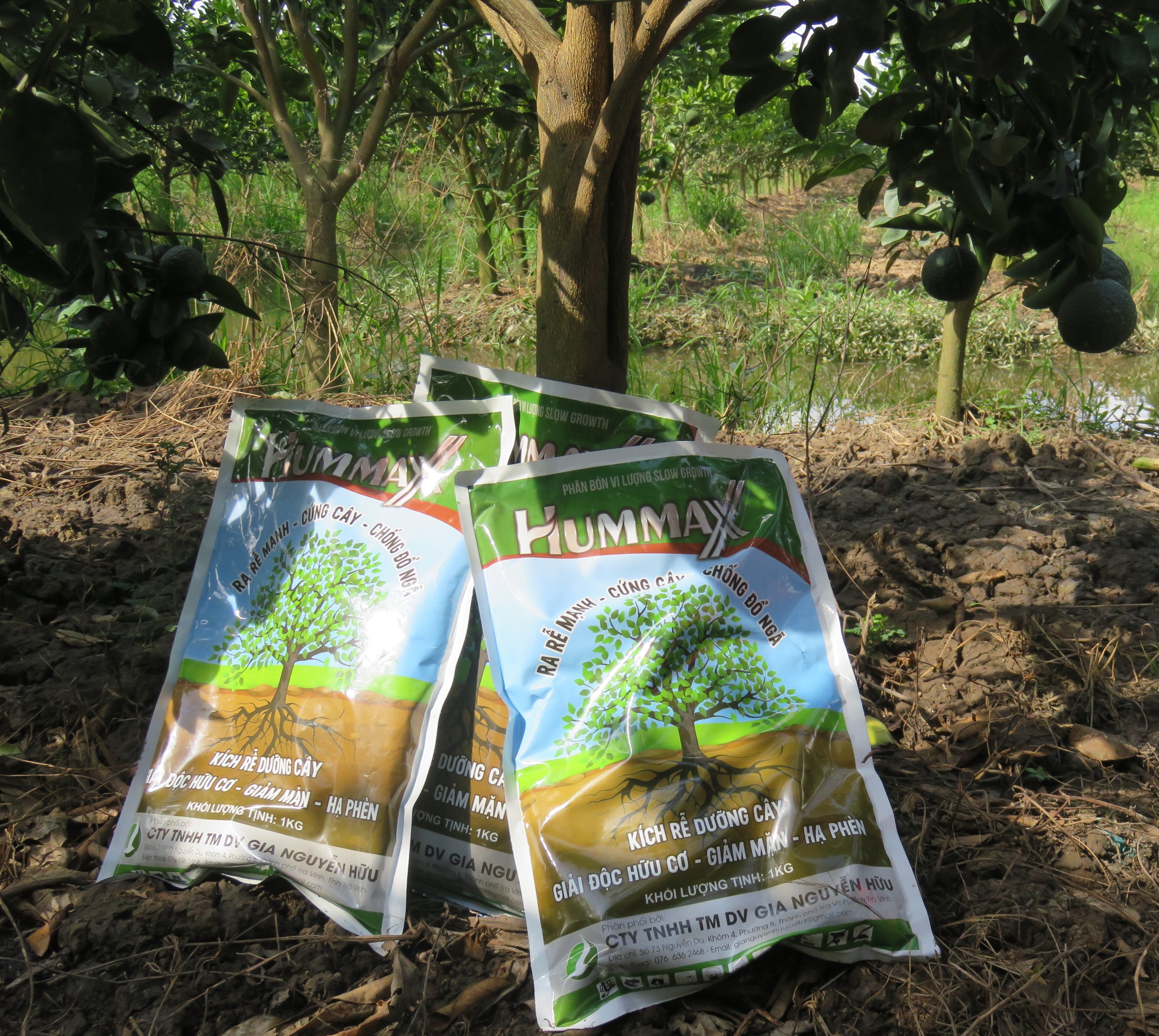 HUMIC