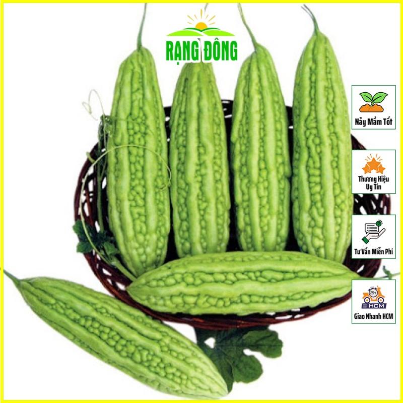 Hạt giống Khổ Qua Mỡ Trái Dài Chịu Nhiệt Tốt, Sinh Trưởng Khỏe, Trồng Quanh Năm - Hạt giống Rạng Đông