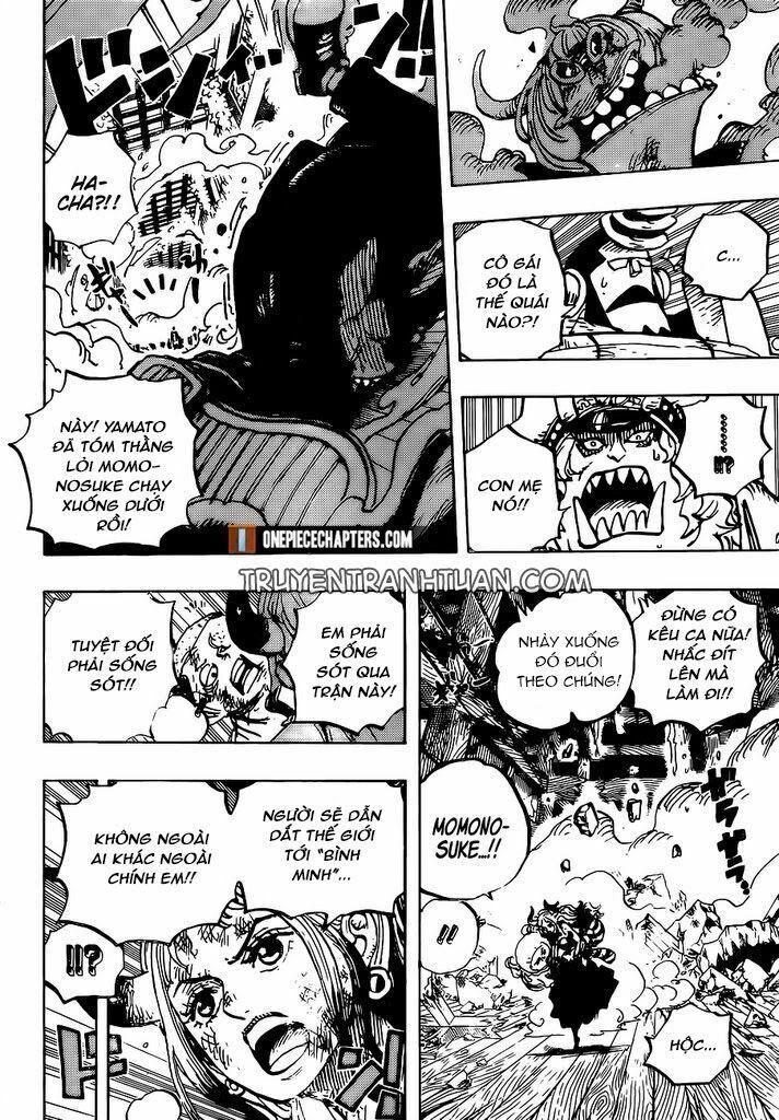 đảo hải tặc - one piece chapter 996 10