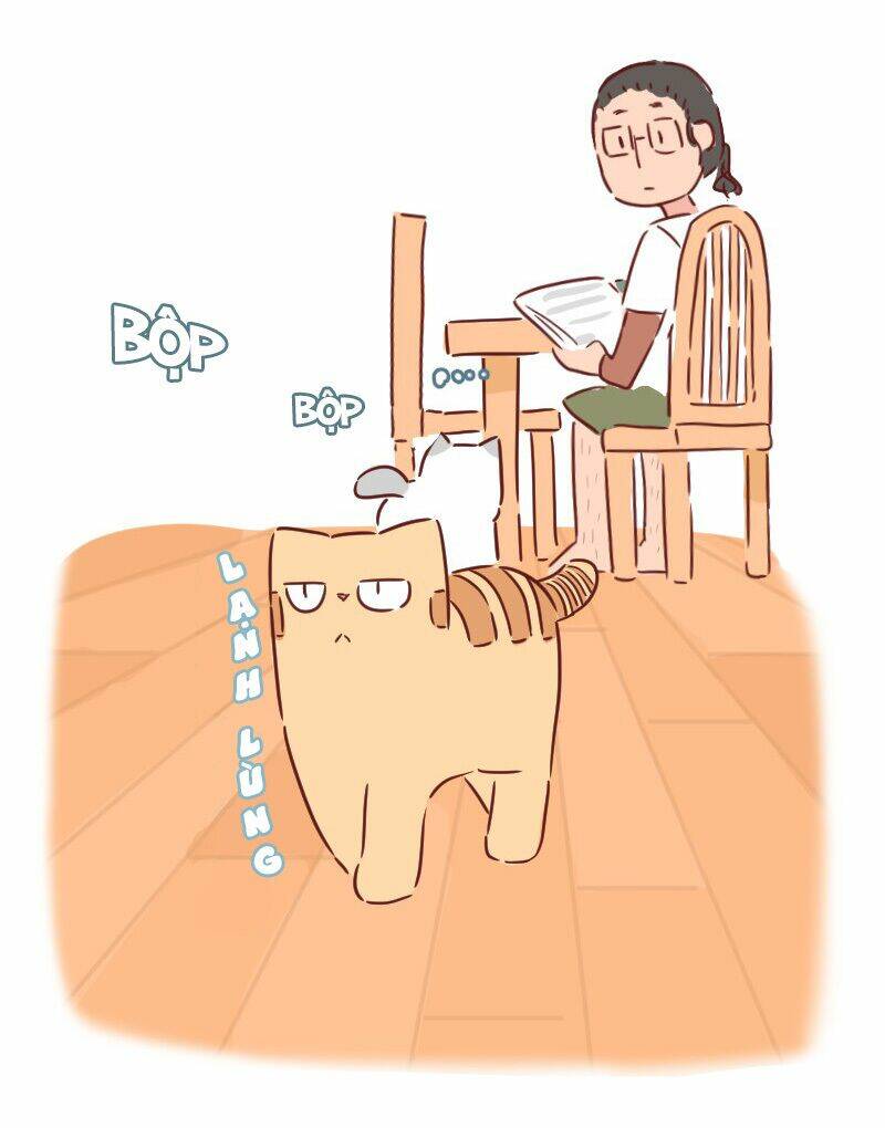 saphie: chú mèo một mắt chapter 30 5