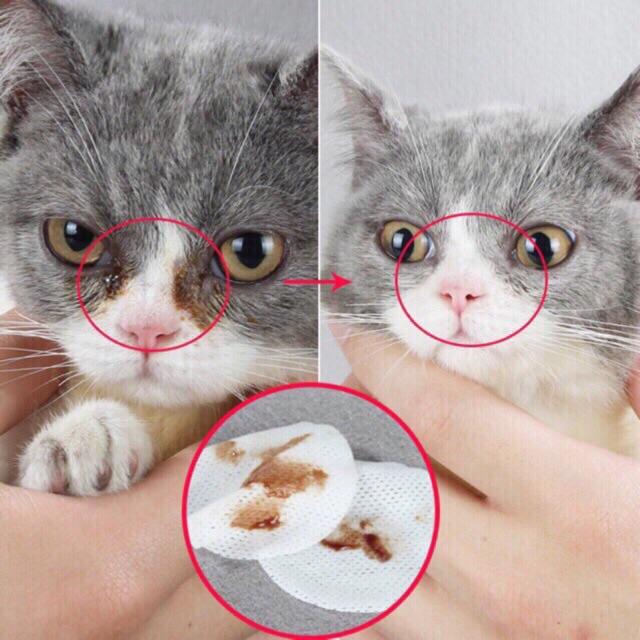 Bông lau vết ố mắt / Bông vệ sinh tai cho chó mèo