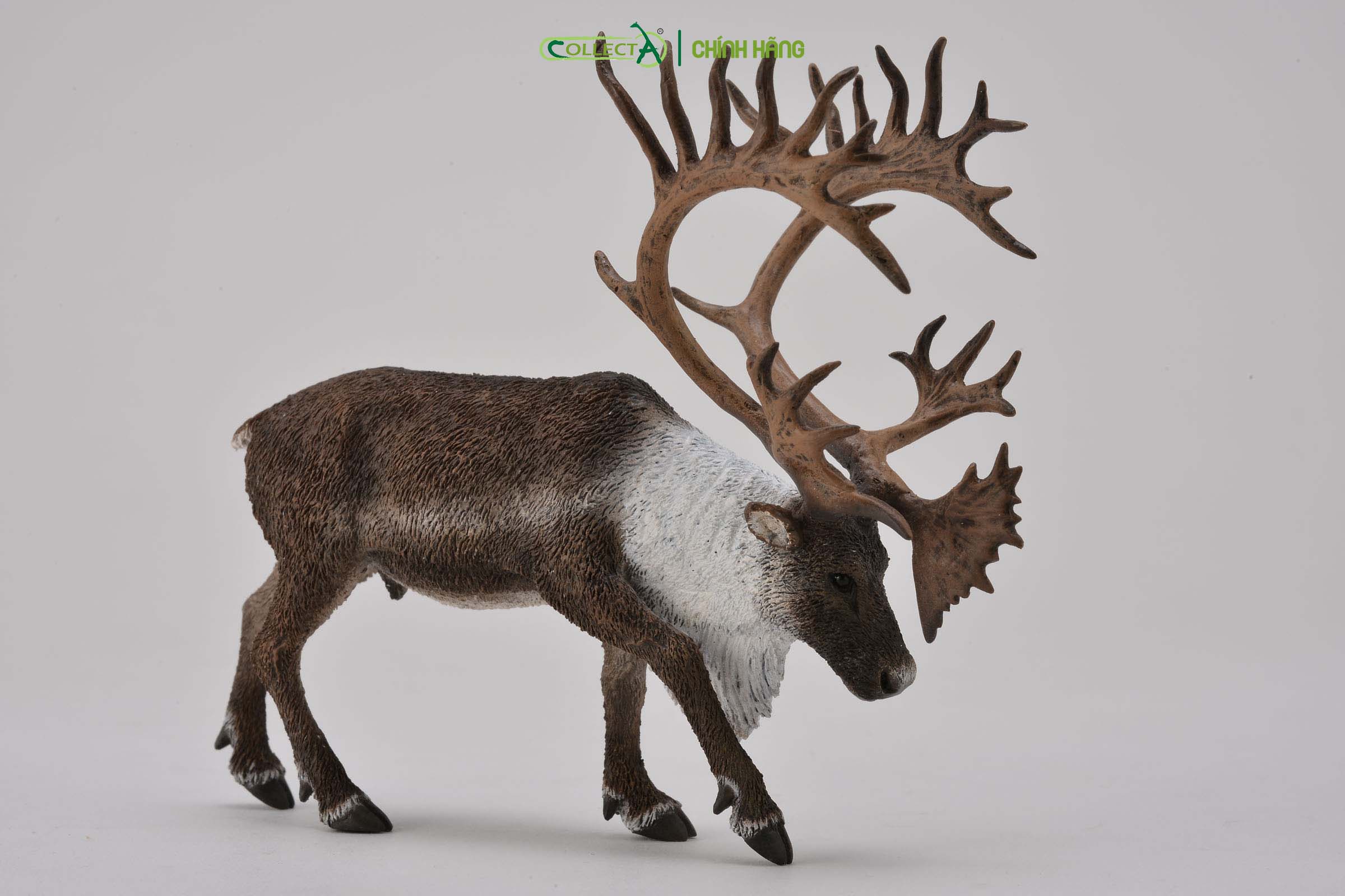 Mô hình thu nhỏ: Tuần Lộc - Woodland Caribou , hiệu: CollectA, mã HS 9651430 - Chất liệu an toàn cho trẻ - Hàng chính hãng