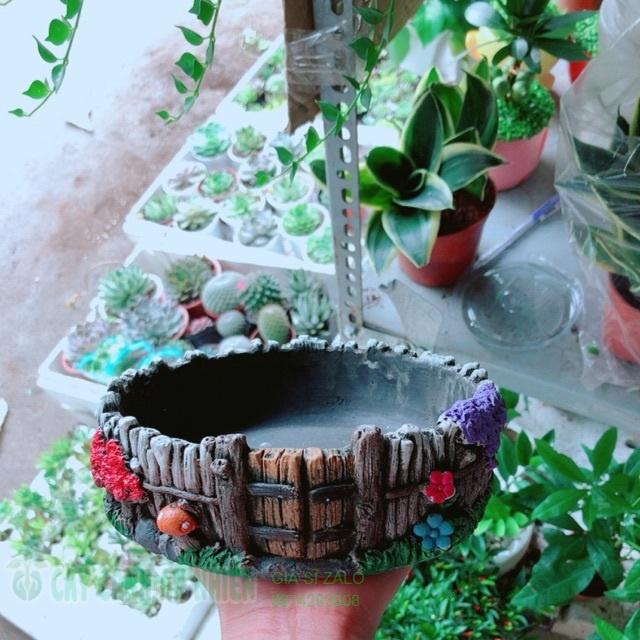 Chậu trồng cây