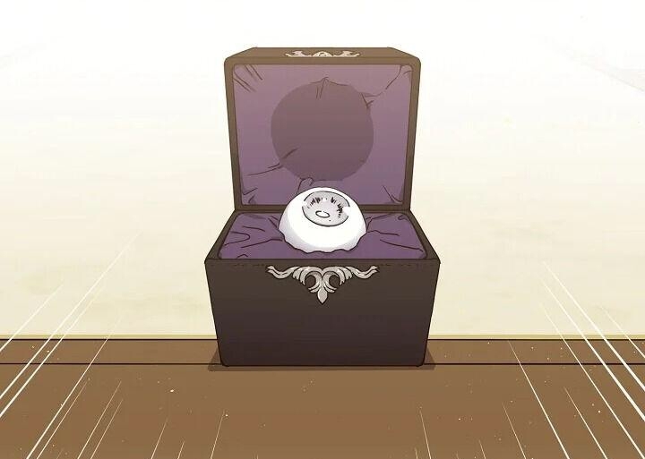 CHITRA chapter 108.2 29