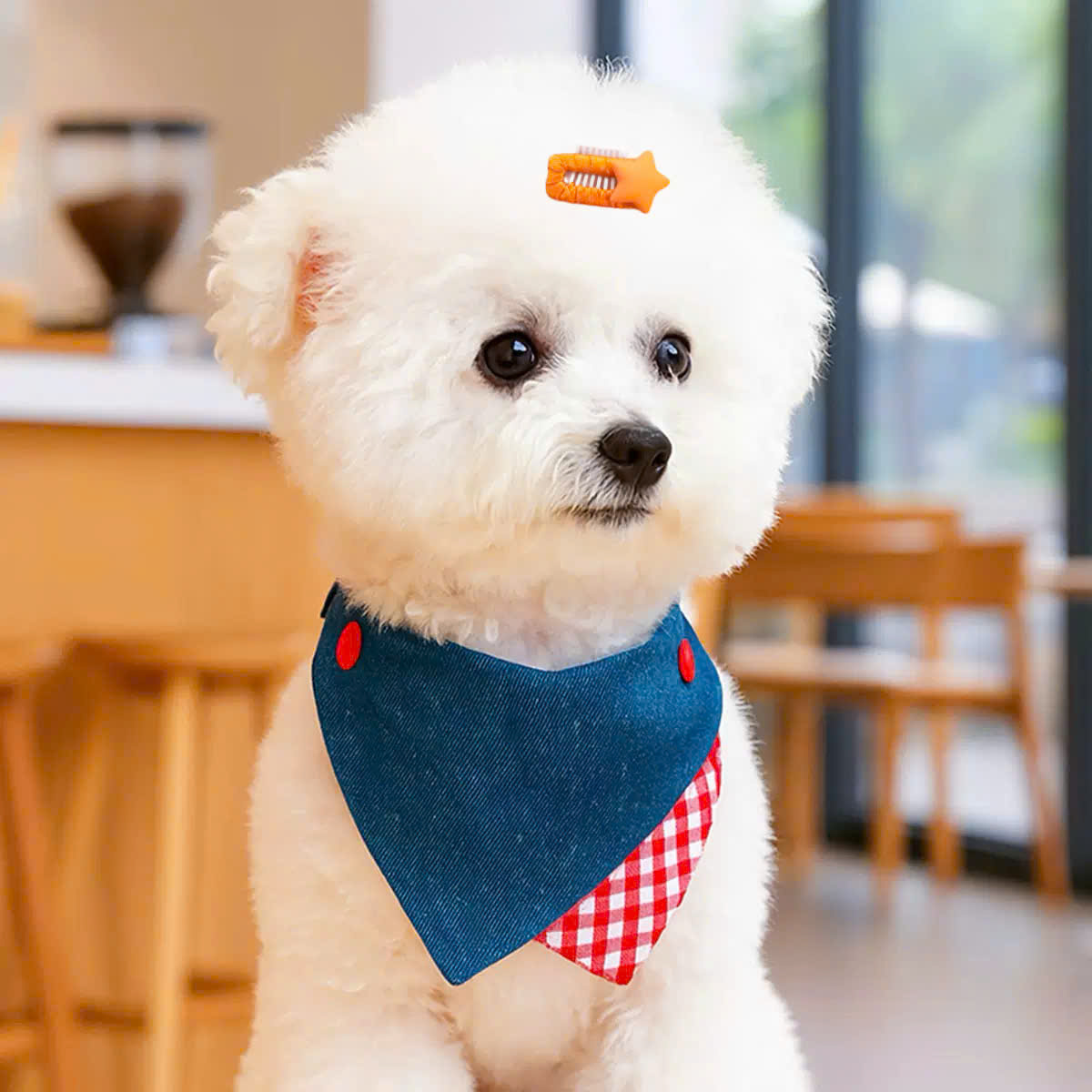 NƠ KẸP TÓC CÀI TÓC THỜI TRANG DỄ THƯƠNG NGÔI SAO CÀI ĐẦU MÃ 32 CHO THÚ CƯNG CHÓ MÈO