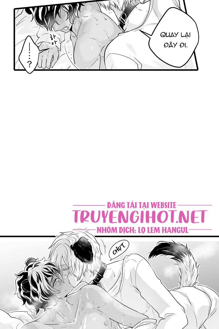 gấu ngủ đông chapter 5.2 3