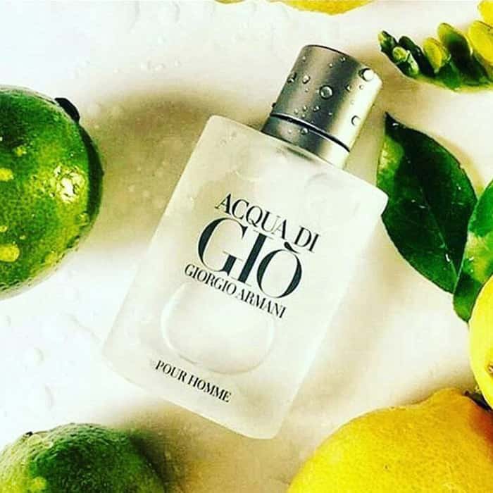 Hương thơm Nước hoa Armani Acqua Di Gio Pour Homme 100ml