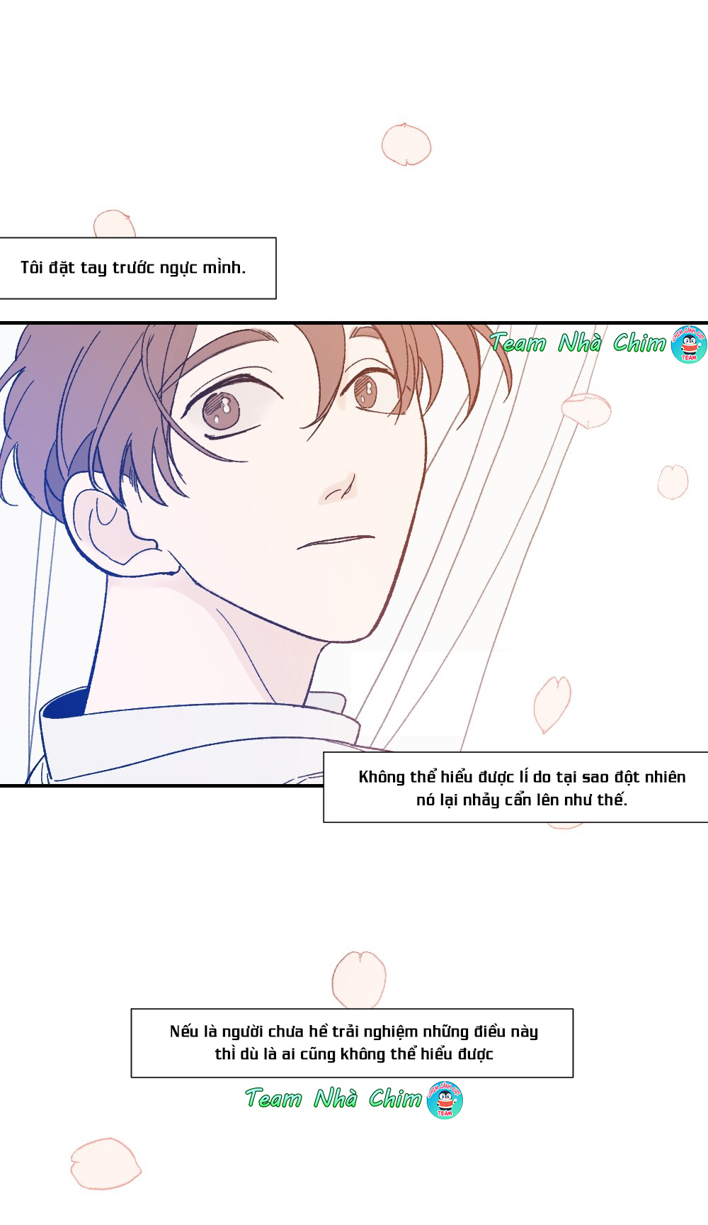 quy luật tình đầu chapter 1 11