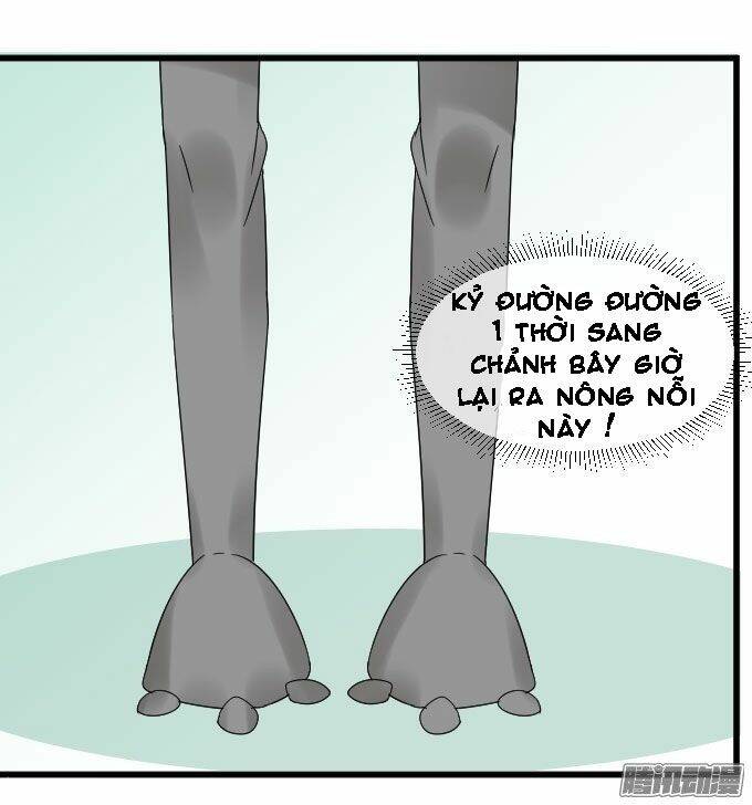 cho anh gần em chapter 14 12