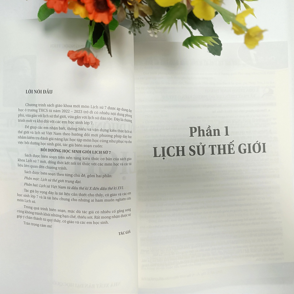 Sách - Bồi Dưỡng Học Sinh Giỏi Lịch Sử 7