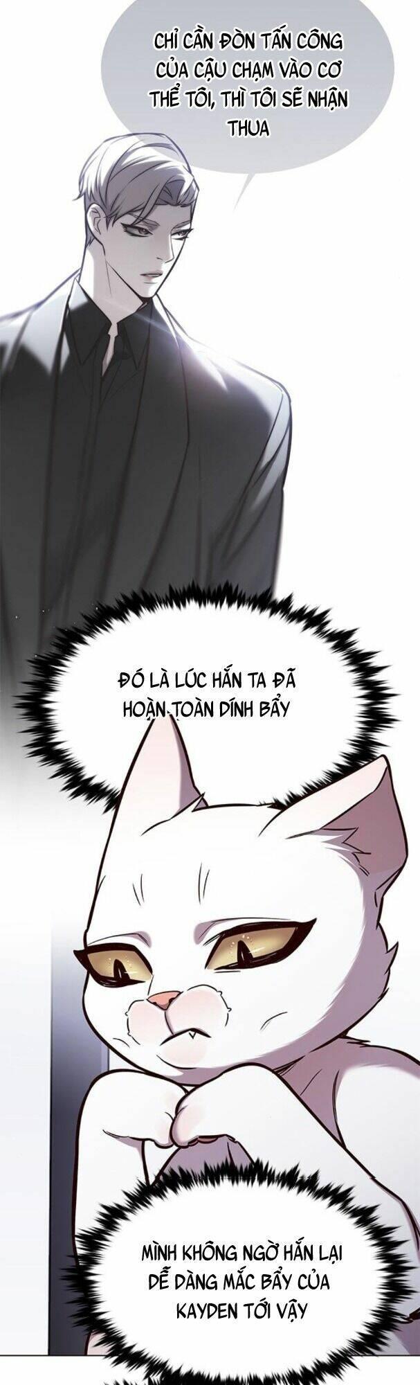 biến thân thành mèo chapter 176 10