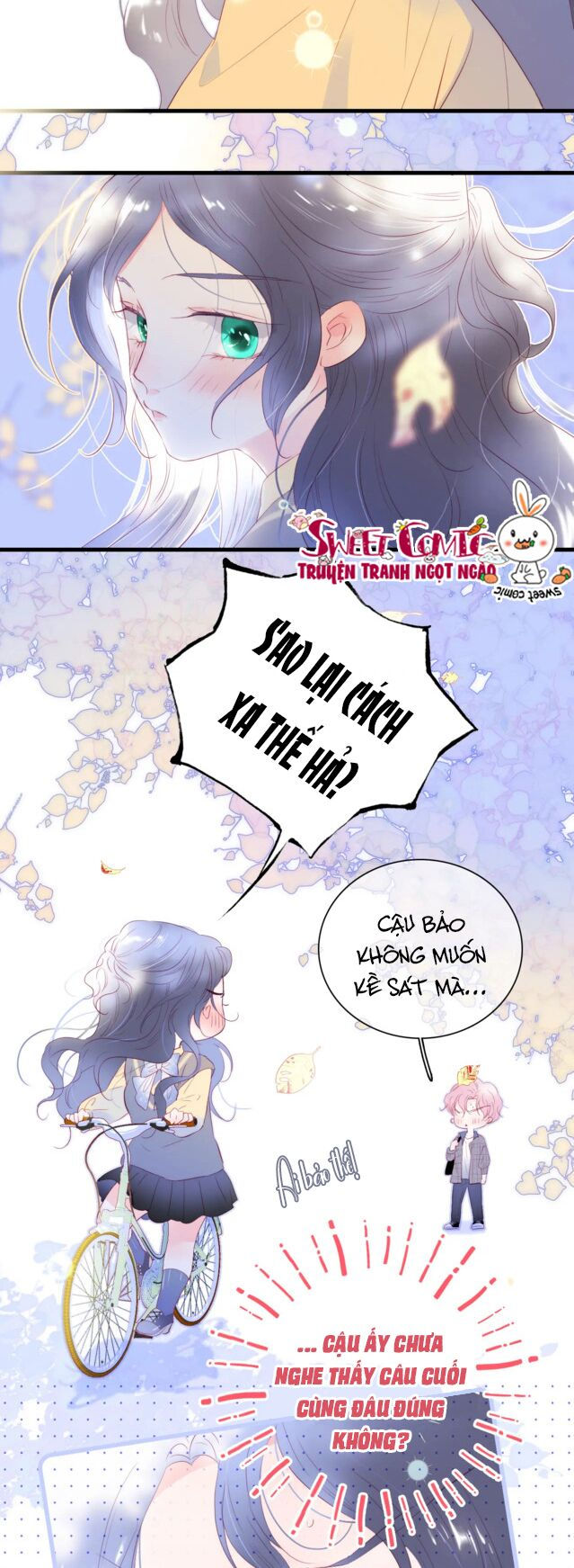 chạy trốn cùng con nhím chapter 31 15