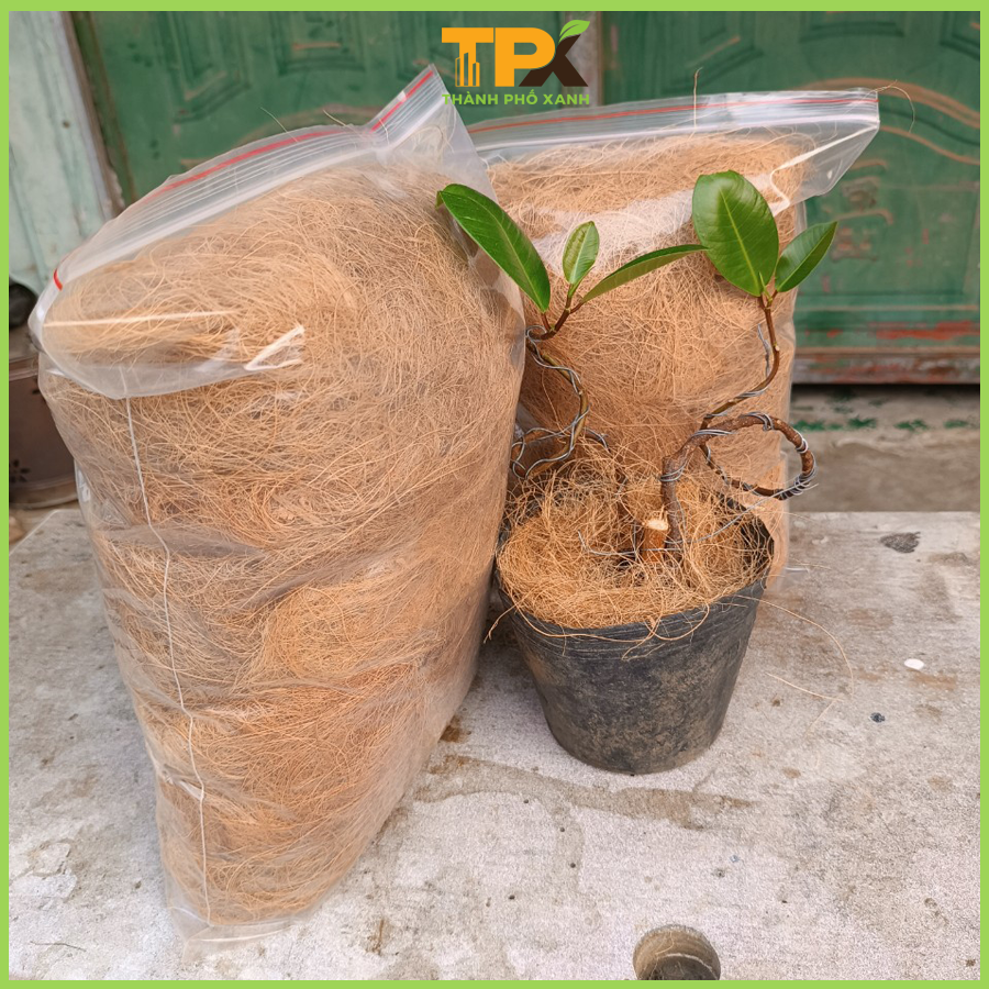 1kg chỉ sơ dừa che phủ chậu cây ,rau ,hoa...trồng lan