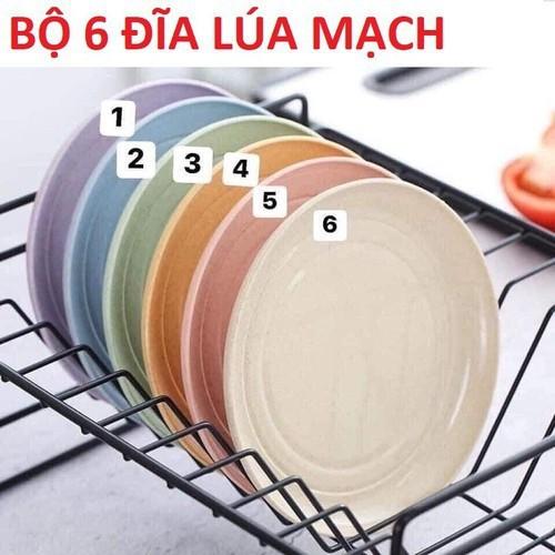 Bộ 6 đĩa lúa mạch