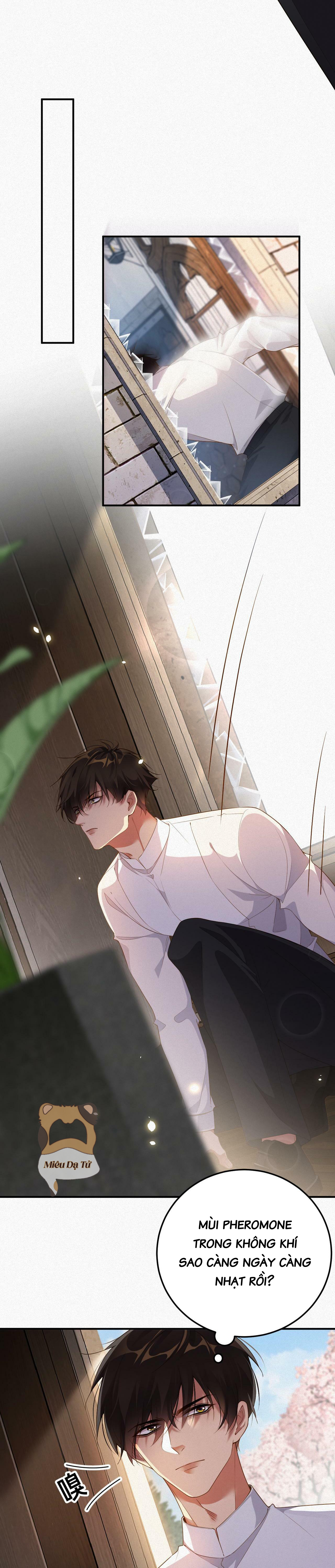 chồng cũ lại muốn phục hôn chapter 12 9