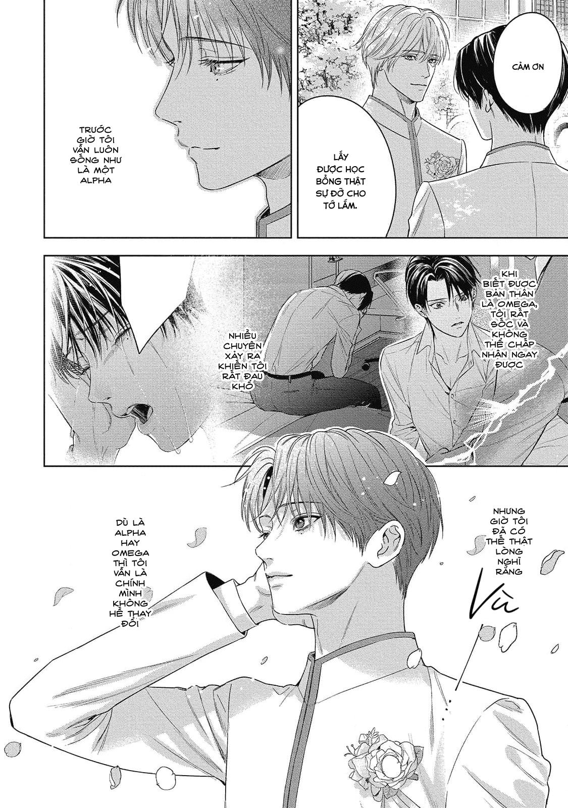 cô dâu của alpha chapter 28 7
