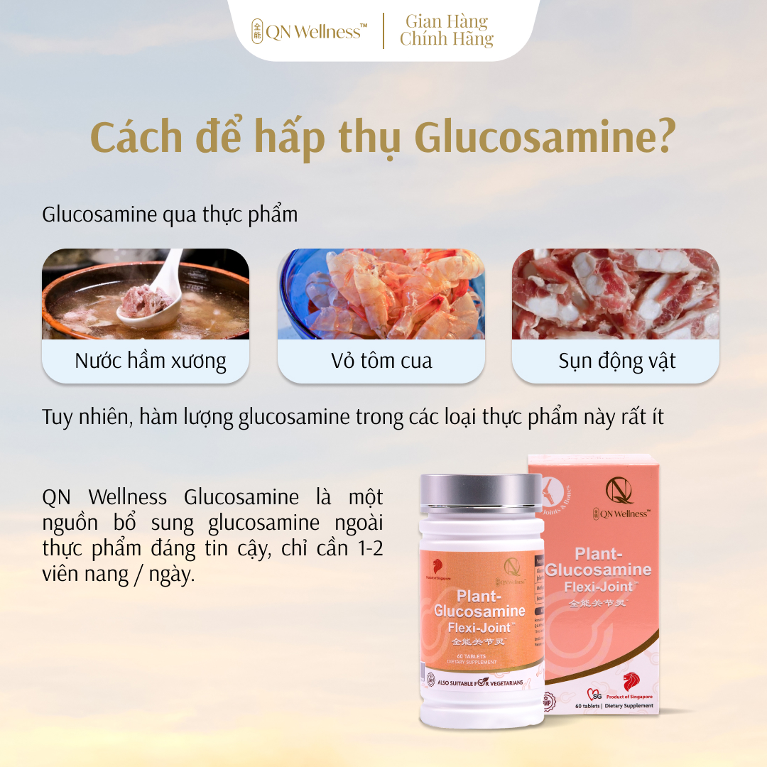 Viên Uống Hỗ Trợ Xương Khớp Plant Glucosamine QN Wellness Chiết Xuất Ngô Thuần Chay, Cung Cấp Máu Cho Khớp, Hỗ Trợ Giảm Sưng, Nâng Đỡ Sụn, Tăng Khả Năng Vận Động - Hộp 60 Viên