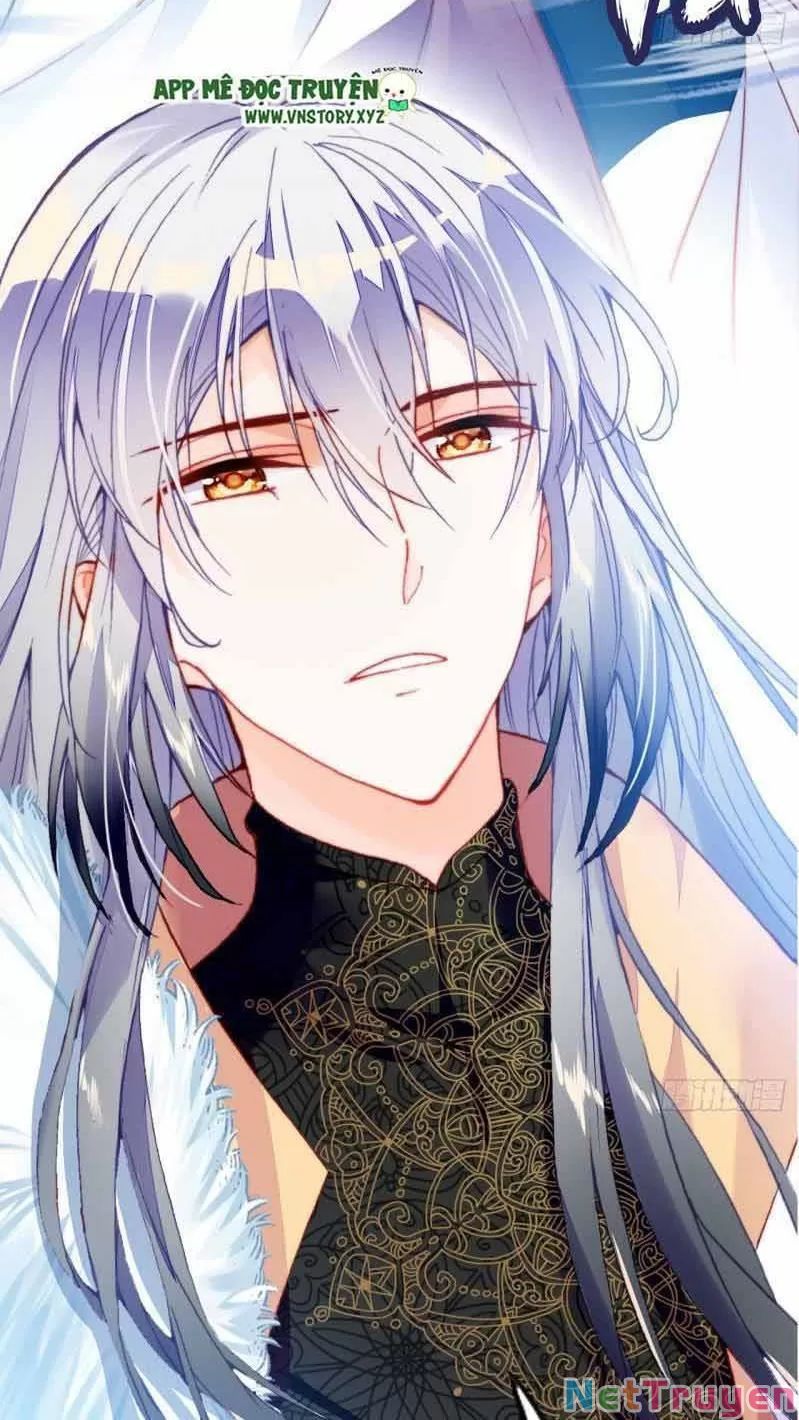 lại bị bệnh chiều chuộng quấn lấy chapter 1 32