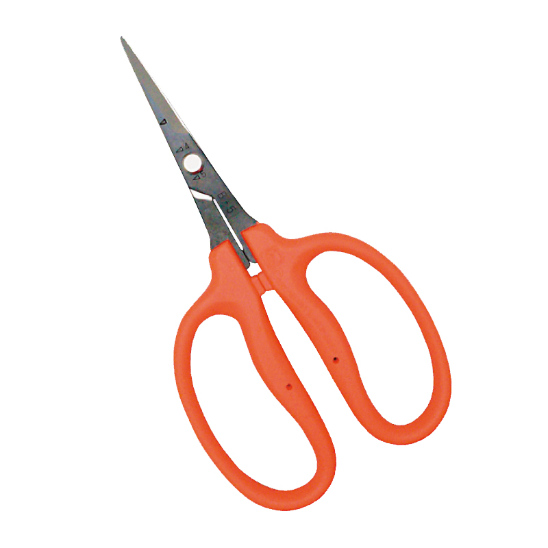 Kéo cắt nho cao cấp Nhật Bản Chikamasa B-500H