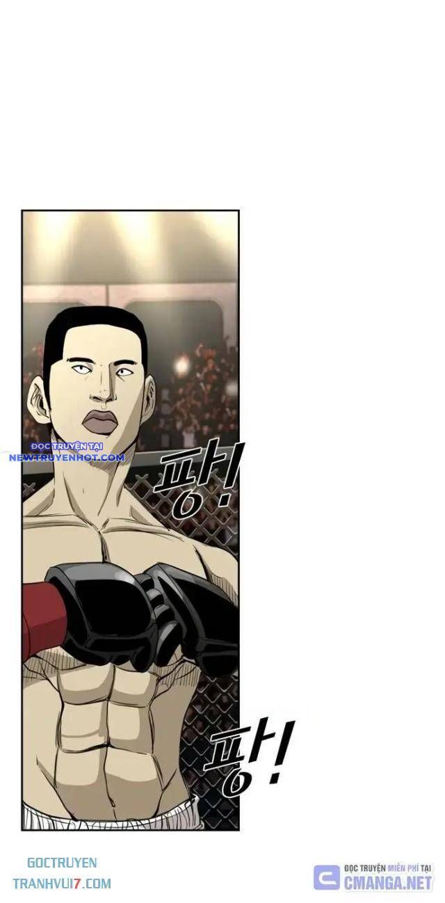 shark - cá mập chapter 174 12