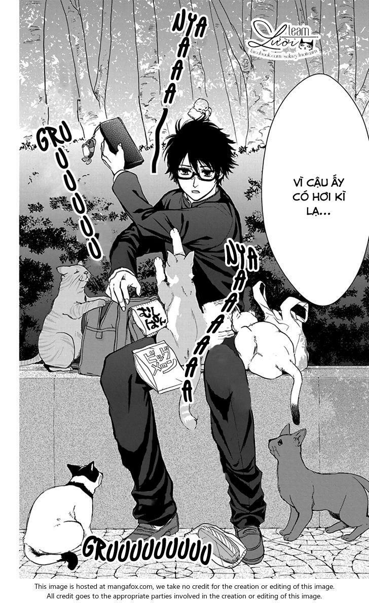 anitomo - bạn của anh trai tôi chapter 12 34