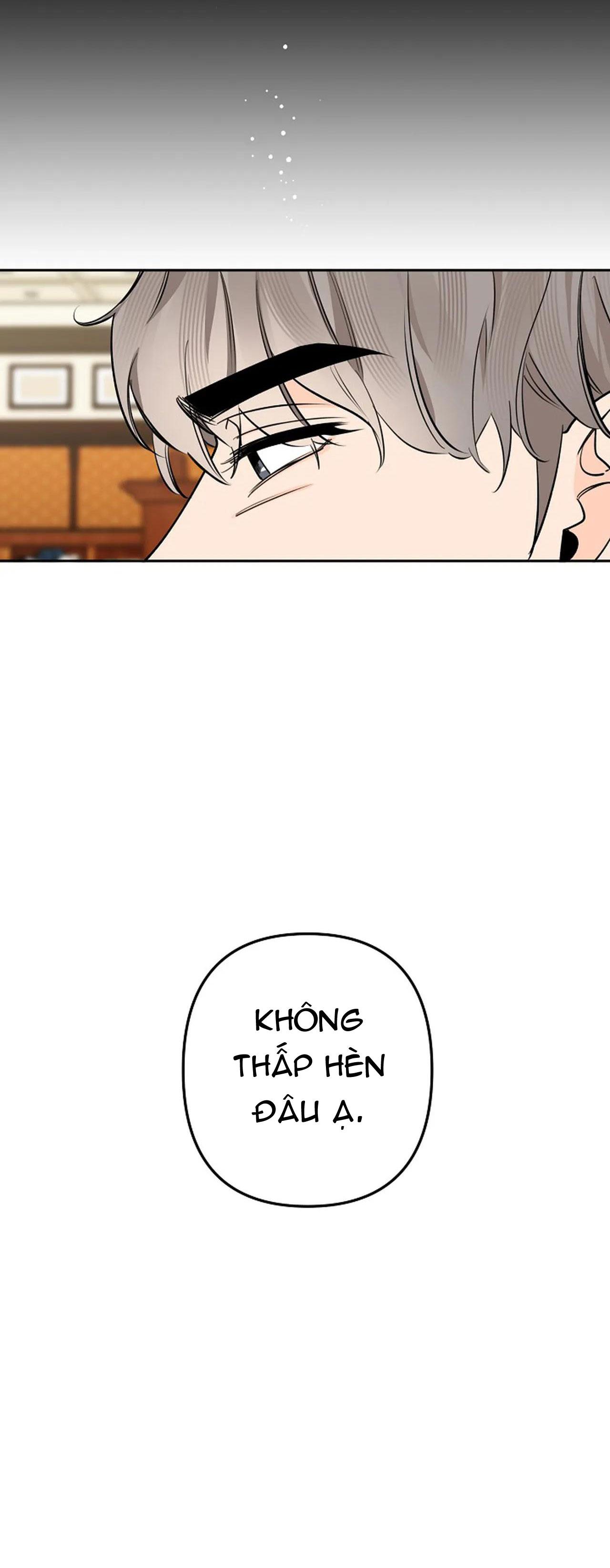 đêm dịu dàng chapter 42 23