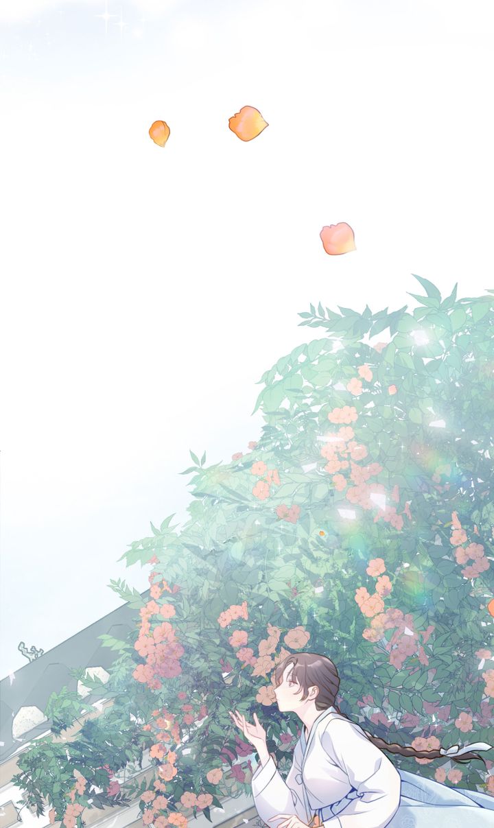 khi những nụ hoa nở rộ chapter 1 56