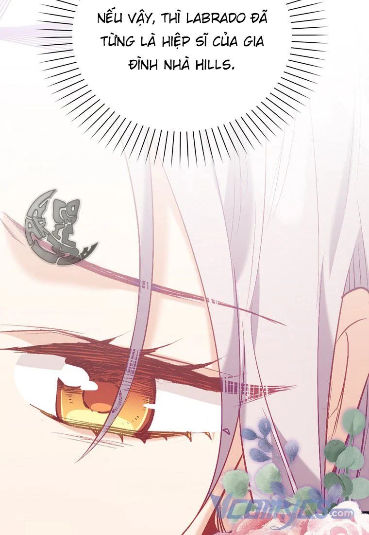 tôi chỉ nhận ra sau khi mất cô ấy chapter 13 15