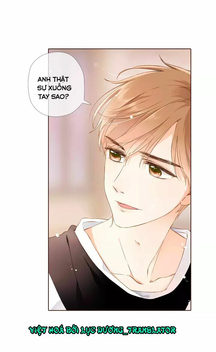 Tình yêu là màu hoa anh thảo chapter 30.1 36