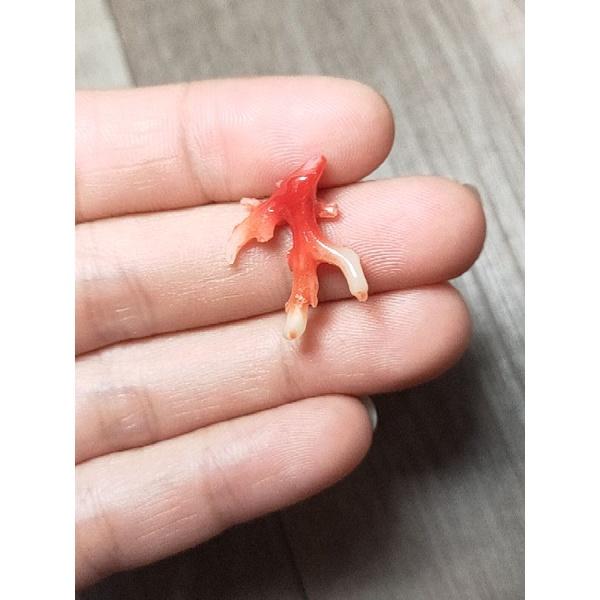 077- Đá San Hô Đỏ (THIÊN NHIÊN)