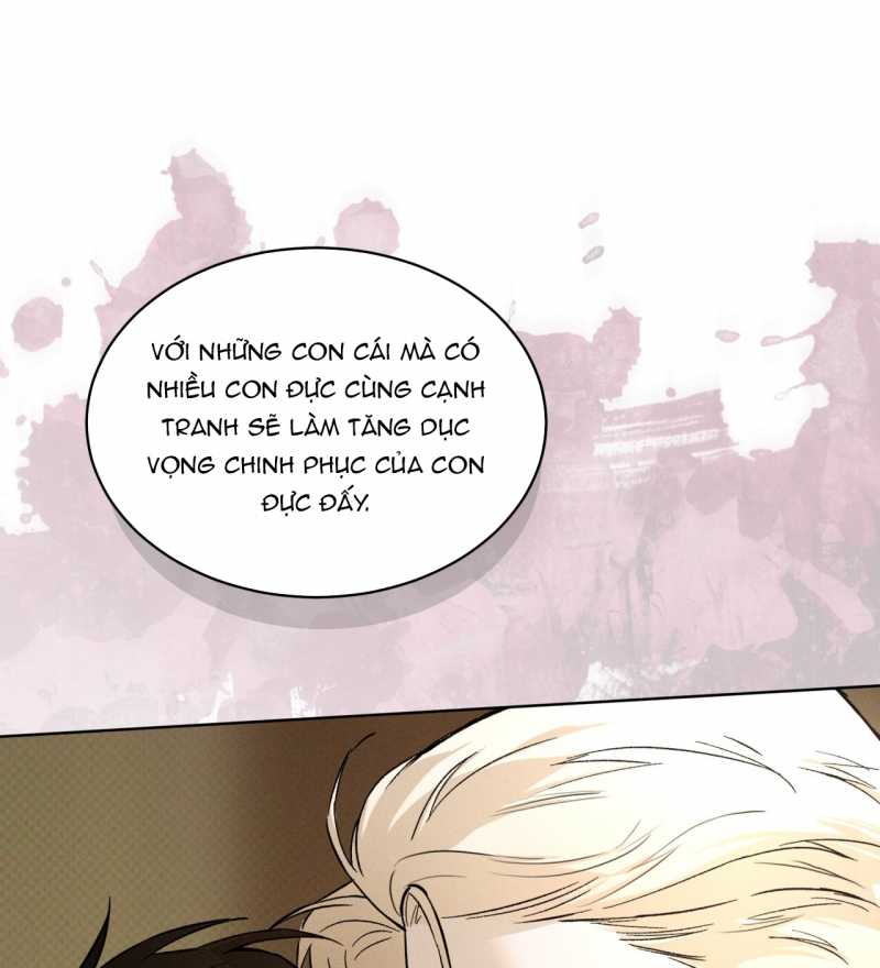 codename anastasia chapter 38.2 35