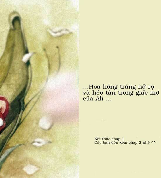 giấc mơ của ali chapter 1 16