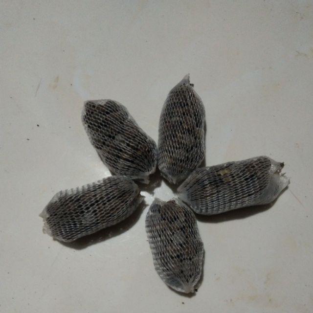 10 túi lưới 4-5cm phân dê bón lan