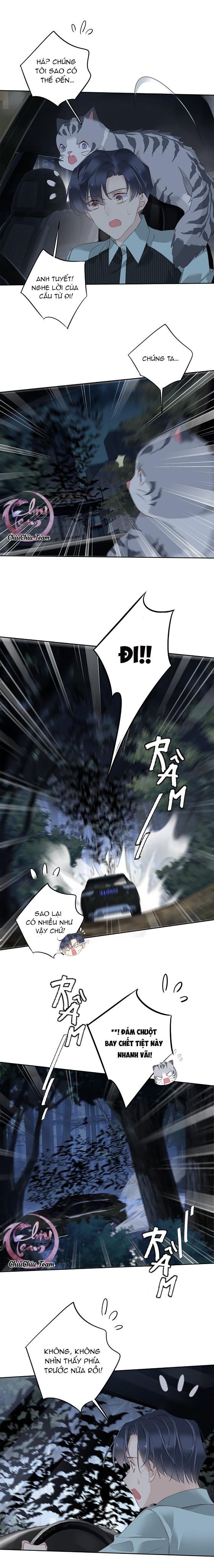 cuộc mai mối vượt giống loài chapter 60 4