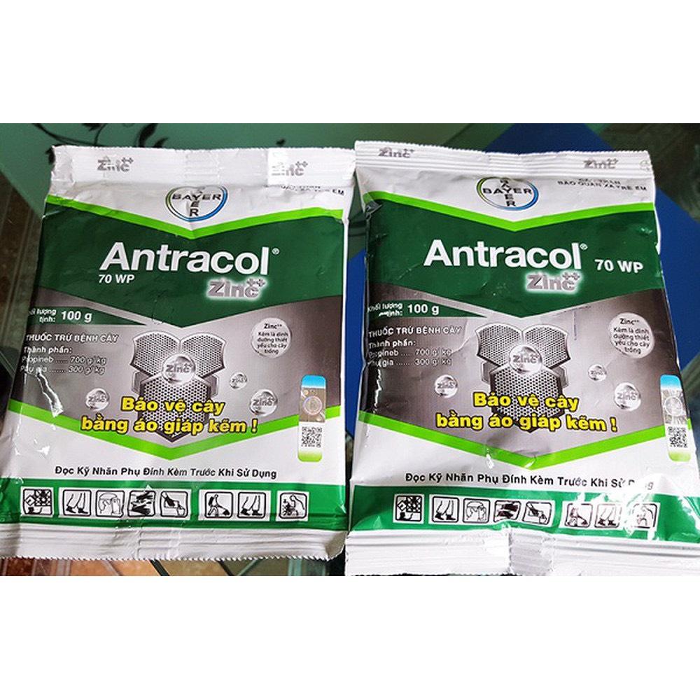 SẢN PHẨM TRỪ BỆNH CÂY ANTRACOL 70 WP, TRỪ NẤP BỆNH ,BẢO VỆ CÂY TRỒNG GÓI 100 GR