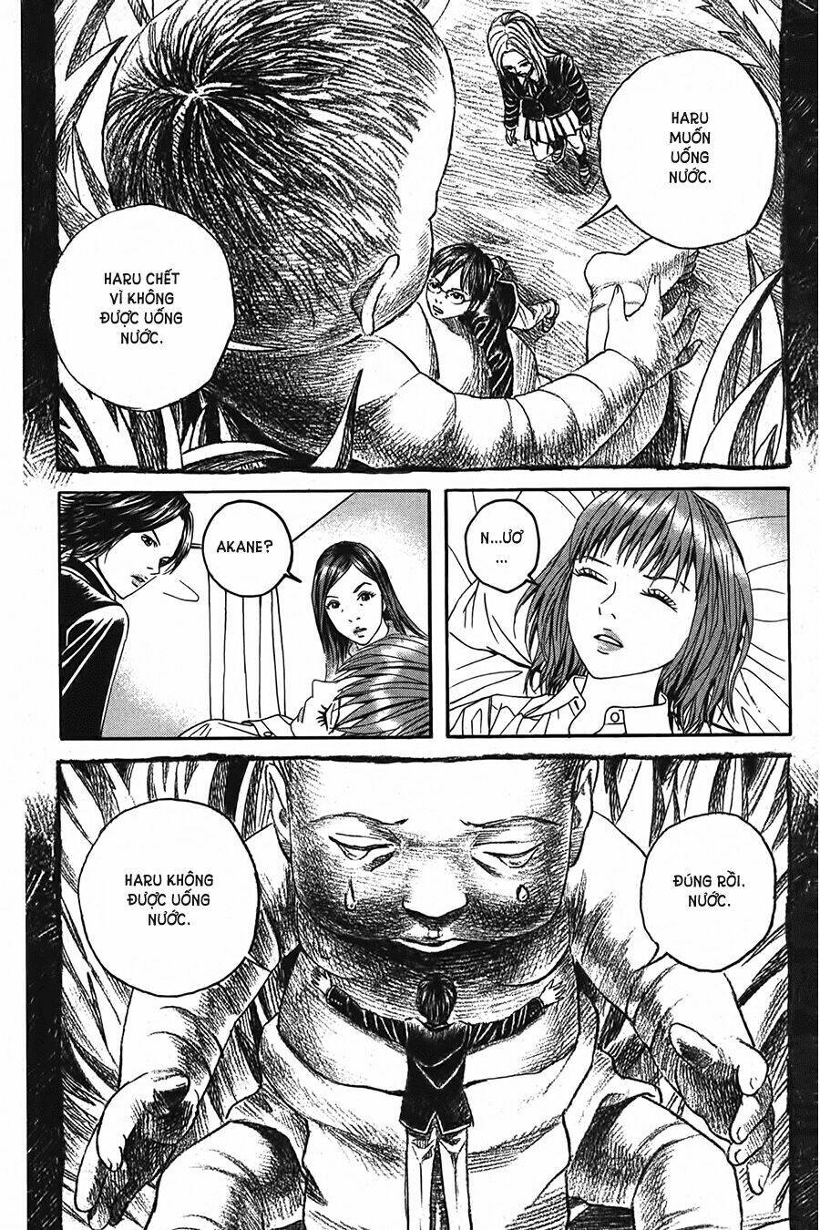 ảo ảnh picasso chapter 2 42