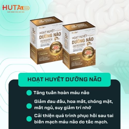 HOẠT HUYẾT DƯỠNG NÃO - 1 LỌ 30 VIÊN