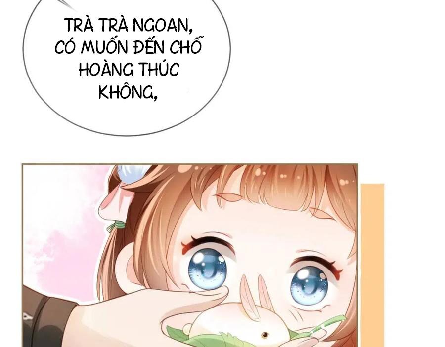 nhặt được bảo bối manh manh chapter 5 73