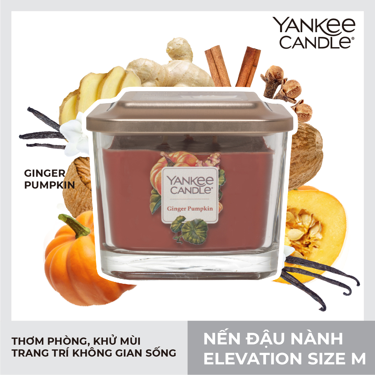 Nến ly vuông Elevation Yankee Candle size M - Ginger Pumpkin (347g)