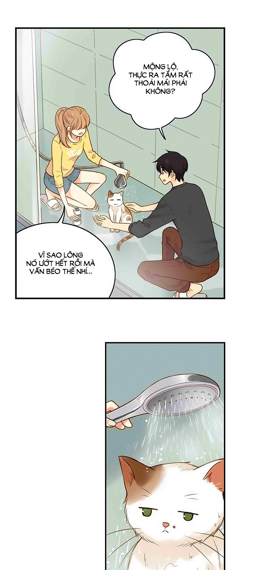 bạc hà chi hạ chapter 42 5